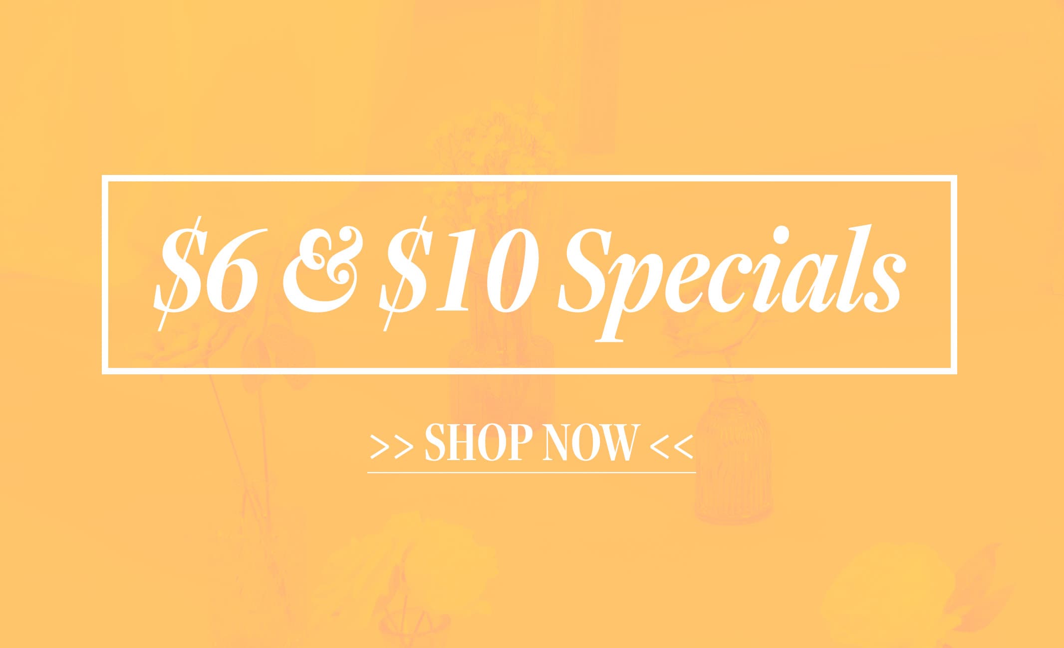 <$6 SPECIALS>